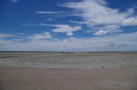 Pirschfahrt im Etosha - Lookout an der Pfanne
