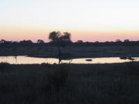 Pirschfahrt im Hwange Nationalpark - Sonnenuntergang
