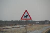 Pumba Alarm