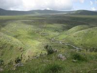 Rinderherden im Olmoti Crater