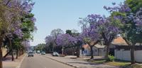 Rundfahrt durch Pretoria
