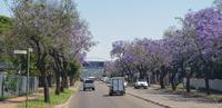 Rundfahrt durch Pretoria