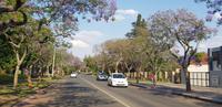 Rundfahrt durch Pretoria