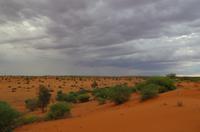 Rundfahrt in der Kalahari - Dünenlandschaft