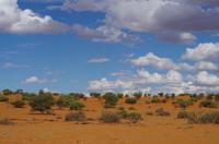 Rundfahrt in der Kalahari
