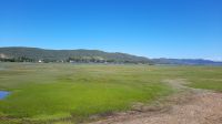 Rundreise Südafrika - Blick nach Leisure Island in Knysna