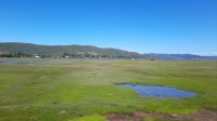Rundreise Südafrika - Blick nach Leisure Island