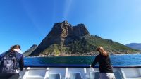 Rundreise Südafrika - Bootsfahrt in Hout Bay