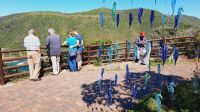 Rundreise Südafrika - Flussmündung in Knysna