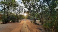 Rundreise Südafrika - Guten Morgen im Krüger-Nationalpark in der Nkambeni Tented Lodge