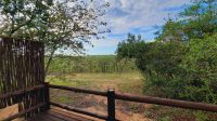 Rundreise Südafrika - Guten Morgen im Krüger-Nationalpark in der Nkambeni Tented Lodge
