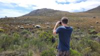 Rundreise Südafrika - Kap-Nationalpark