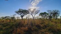 Rundreise Südafrika - Krüger-Nationalpark