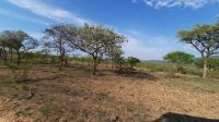 Rundreise Südafrika - Krüger-Nationalpark