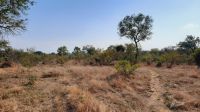 Rundreise Südafrika - Krüger-Nationalpark