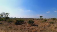 Rundreise Südafrika - Krüger-Nationalpark