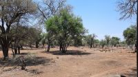 Rundreise Südafrika - Krüger-Nationalpark
