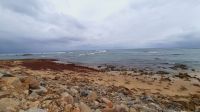 Rundreise Südafrika - Rundfahrt in Port Elisabeth, am Indischen Ozean