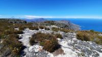 Rundreise Südafrika - Rundgang auf dem Tafelberg in Kapstadt
