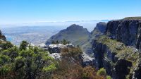 Rundreise Südafrika - Rundgang auf dem Tafelberg in Kapstadt