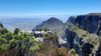 Rundreise Südafrika - Rundgang auf dem Tafelberg in Kapstadt