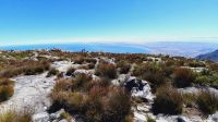 Rundreise Südafrika - Rundgang auf dem Tafelberg in Kapstadt