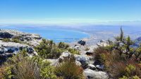 Rundreise Südafrika - Rundgang auf dem Tafelberg in Kapstadt