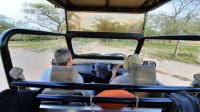 Rundreise Südafrika - Safari im Krüger-Nationalpark