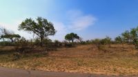 Rundreise Südafrika - Safari im Krüger-Nationalpark
