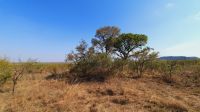 Rundreise Südafrika - Safari im Krüger-Nationalpark