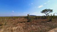 Rundreise Südafrika - Safari im Krüger-Nationalpark