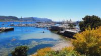 Rundreise Südafrika - Simons Town