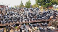 Rundreise Südafrika - Souvenirs an der Bluekrans Bridge