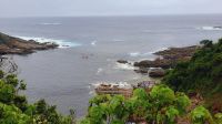 Rundreise Südafrika - Storms River und Indischer Ozean im Tsitsikamma-Nationalpark