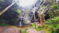 Rundreise Südafrika - Tsitsikamma-Nationalpark