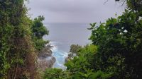 Rundreise Südafrika - Tsitsikamma-Nationalpark