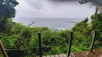 Rundreise Südafrika - Tsitsikamma-Nationalpark