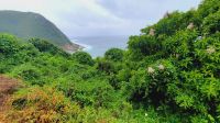 Rundreise Südafrika - Tsitsikamma-Nationalpark