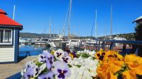 Rundreise Südafrika - Waterfront in Knysna