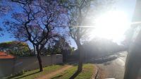 Rundreise Südafrika - blühende Jacarandas in Pretoria