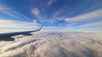 Rundreise Südafrika - es geht los nach Frankfurt