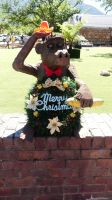 Südafrika - Franschhoek - bald ist Weihnachten