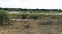 Südafrika - Kruger Nationalpark - Pirschfahrt