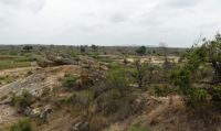 Südafrika - Kruger Nationalpark - Pirschfahrt