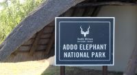 Südafrika - Pirschfahrt im Addo Elephant Park