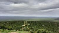 Südafrika - Pirschfahrt im Addo Elephant Park