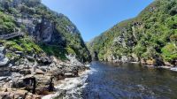 Südafrika - Tsitsikamma Nationalpark - Stormsriver
