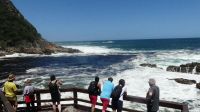 Südafrika - Tsitsikamma Nationalpark