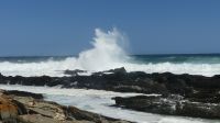 Südafrika - Tsitsikamma Nationalpark