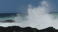 Südafrika - Tsitsikamma Nationalpark